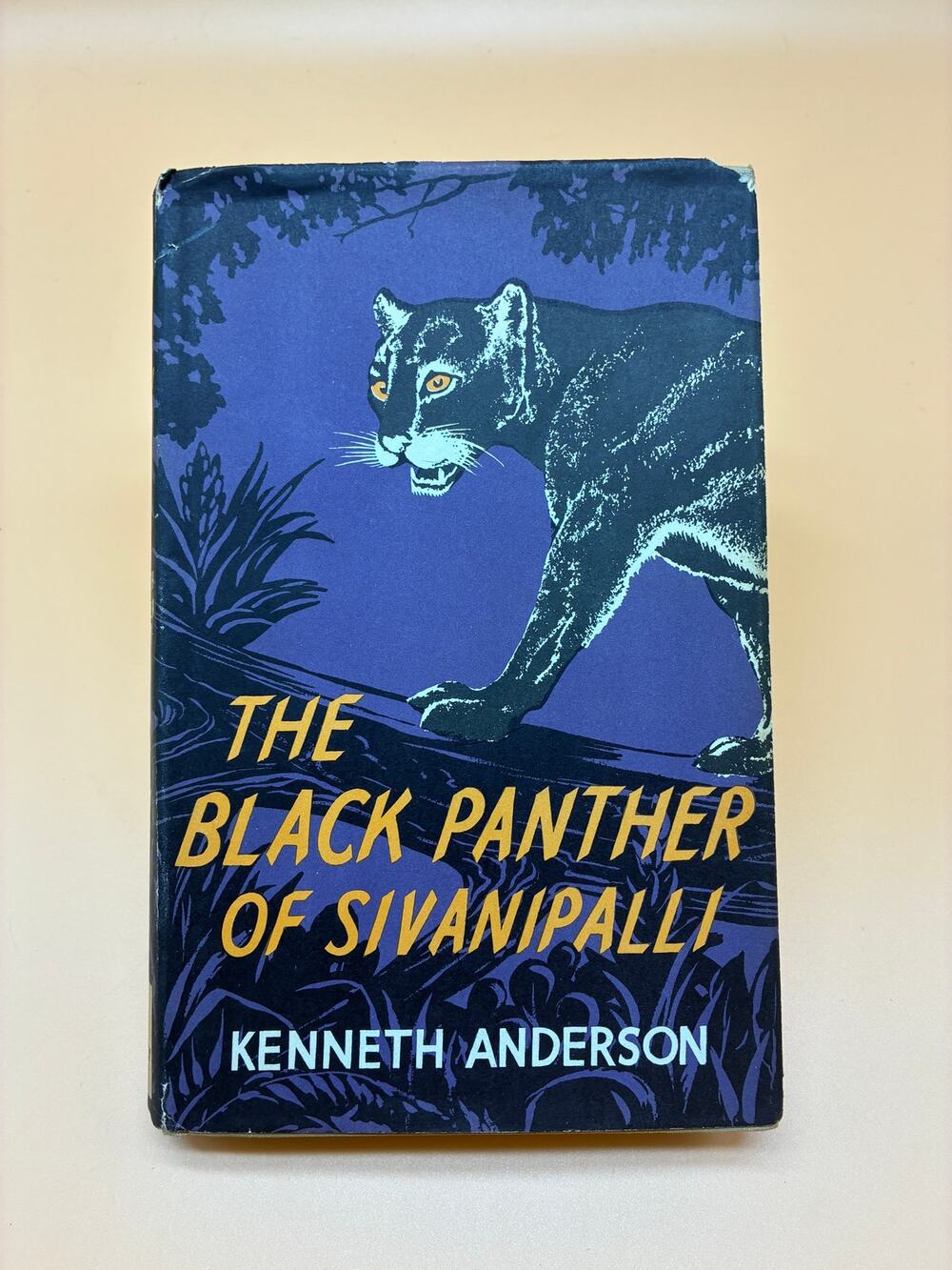 The Black Panther of Sivanipalli By Kenneth Anderson HC DJ 1961 Illustrated VG